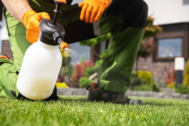Best Cockroach Control Services  in Jacksonvle, IL