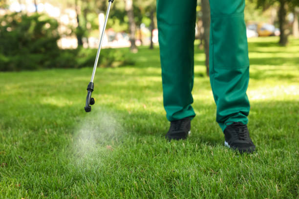 Best Pest Control Near Me  in Jacksonvle, IL