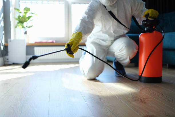 Best Affordable Exterminators  in Jacksonvle, IL
