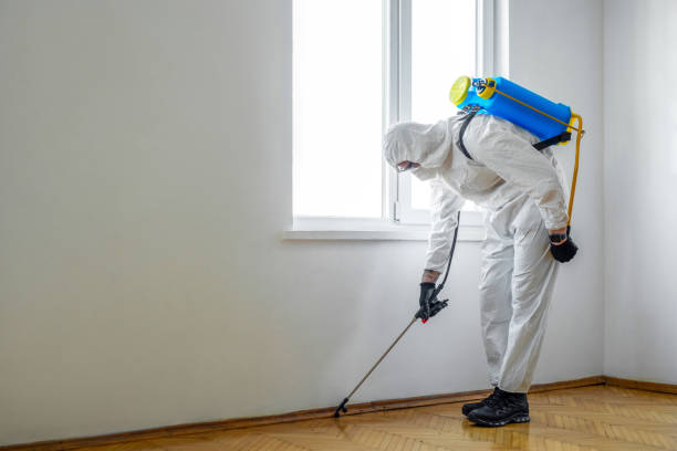 Best Affordable Pest Control Services  in Jacksonvle, IL