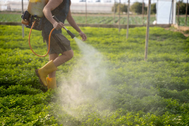 Best Affordable Pest Control Services  in Jacksonvle, IL