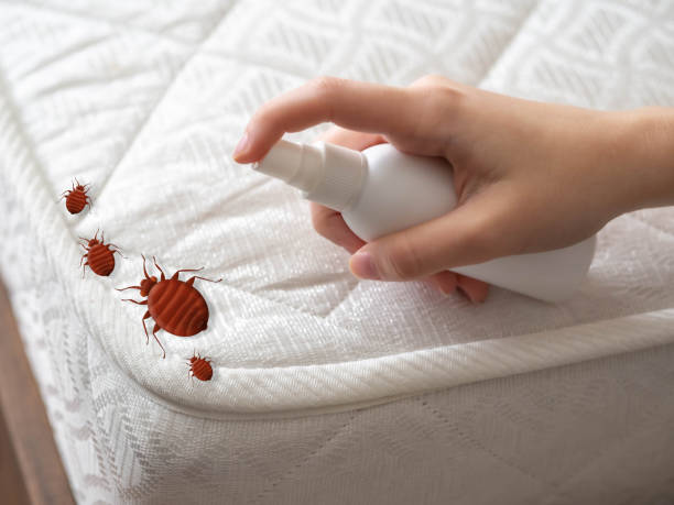 Best Pest Inspection Near Me  in Jacksonvle, IL