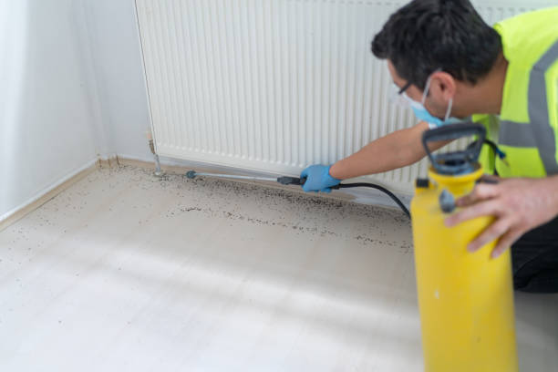 Best Exterminator Services  in Jacksonvle, IL