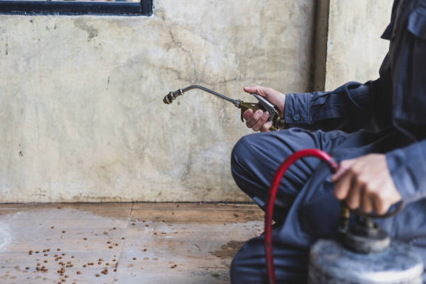 Best Emergency Pest Control  in Jacksonvle, IL